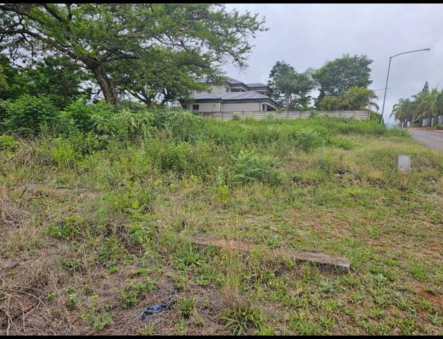 LAND FOR SALE IN LOUIS TRICHARDT